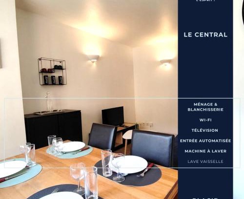 Gap Appartement | Le central - WIFI - hyper centre