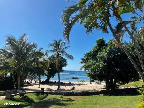 Anse des Rochers Appartement | Le Chacha Anse des Rochers
