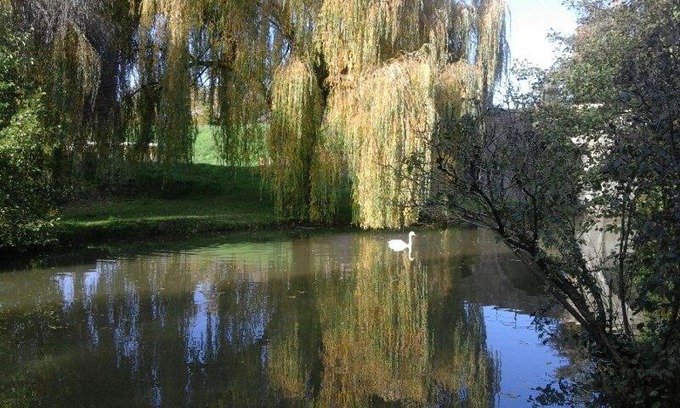 Charolles Appartement | Le Clos des Cygnes