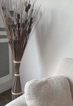 Castelginest Appartement | Le cosy Parking gratuit piscine terrain de tennis
