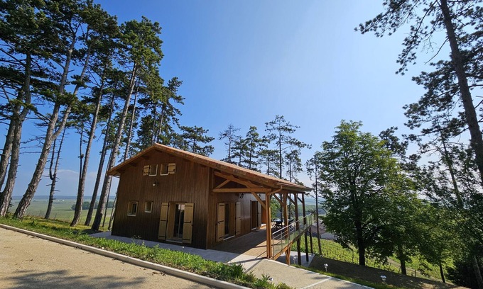 Bonneuil Chalet De Ski | Le cottage des pins chalet sur les vignes
