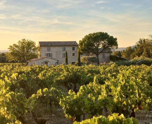 Saint-Didier Maison | Le Cottage du Chat Blanc