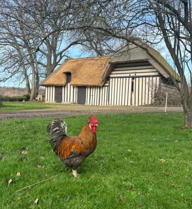 Sainte-Opportune-la-Mare Lit Et Petit-Déjeuner | Le Domaine Caribou