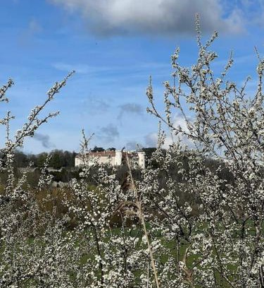 Ray-sur-Saone Maison | le Gîte de Marie Ray Sur Saône
