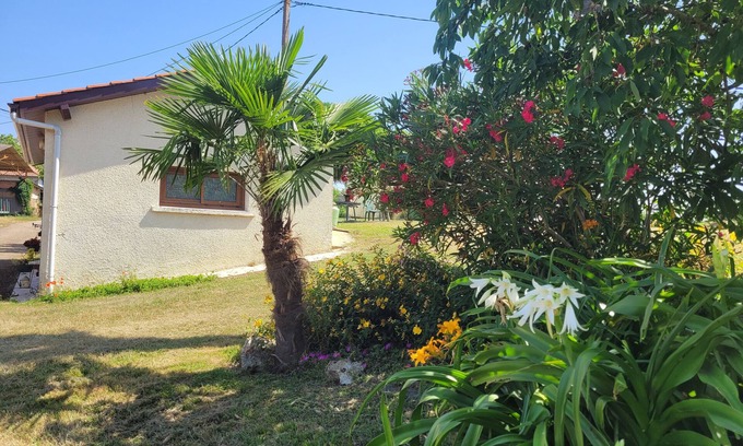 Saint-Arroumex Maison | Le Gîte De Gayssanes: Charm and Tranquility in the Heart of Nature