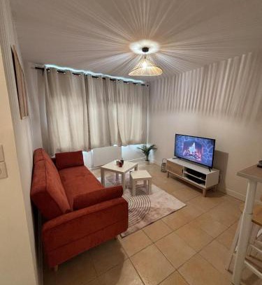 Orleans Appartement | Le joli petit Bannier T2 Neuf , Fibre