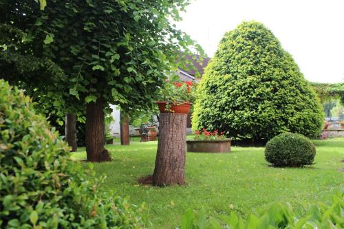 Saverne Appartement | Le Manoir de l'Abbaye