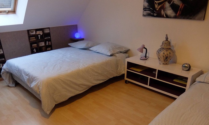 Ruaudin Maison | LE MANS, ROOM FOR RENT WITH BATHROOM, 10 mins from the circuit, on RUAUDIN