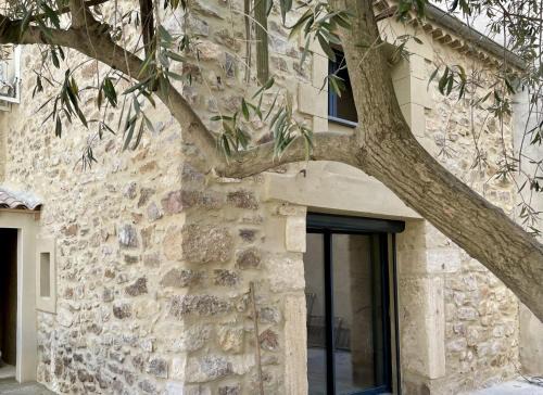 Quarante Maison | Le Mas de l'eau - Piscine Privative