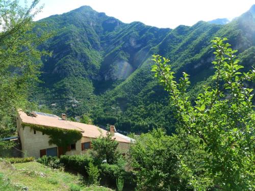 Utelle Maison | Le Mont d'Olivine