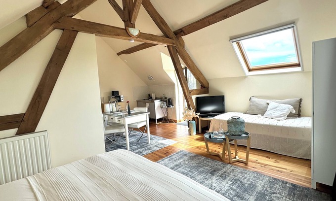 Orbigny Appartement | Le Moulin d'Olivet - 10min from Beauval zoo, in the heart of the Loire castles