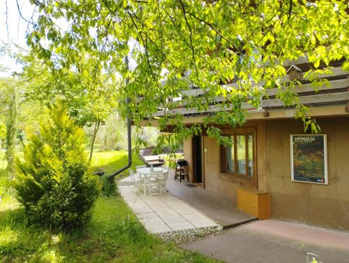 Sciez Appartement | Le Nid du Chat Noir - Gîte La Maison Alvéole