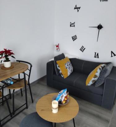 Zillisheim Appartement | Le nid du colibri appartement entier F1 à 5 mn de Mulhouse