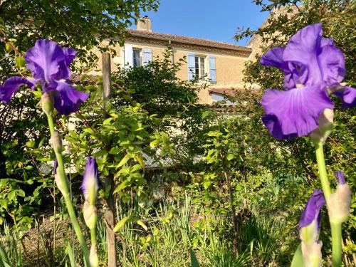 Valence-sur-Baise Lit Et Petit-Déjeuner | Le Petit Cochon