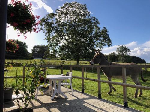 Beaubec-la-Rosiere Maison | Le Petit Gite O Pré
