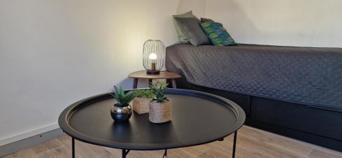 Mont-de-Marsan Appartement | Le petit Jungle - hyper centre