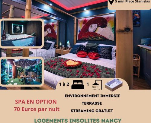 Saint Nicolas - Charles III - Ville vieille - Trois Maisons - Leopold Appartement | Le Petit Sensual Bali Spa Option 300m Place Stanislas