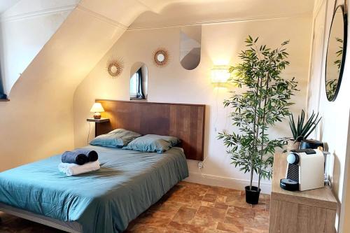 Chateaudun Appartement | Le Rêve de Claudia - Charmant Studio
