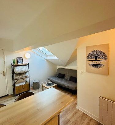 Charleville-Mezieres Appartement | Le studio du moulin