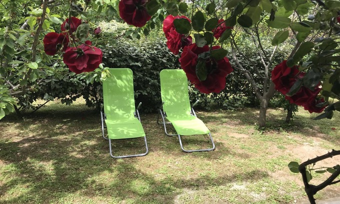 Macinaggio Appartement | « Le verger » : Joli T2 (60 m²), au calme, à 2 pas du centre et des plages
