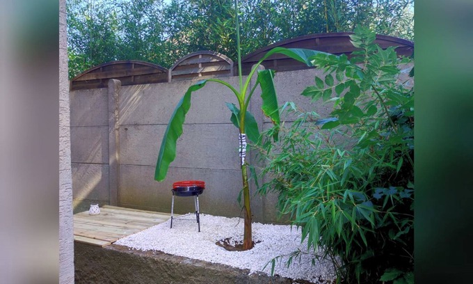 Morsang-sur-Orge Appartement | Le vert galant