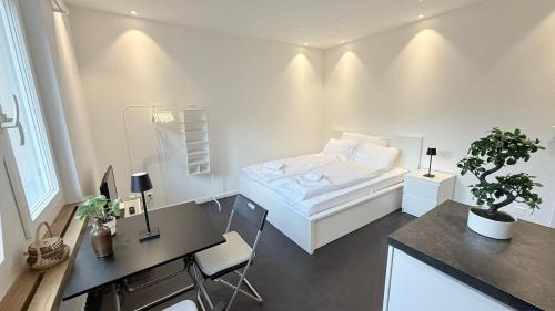 Schaffhausen Appartement | Lea Apartement - Ruhiges Studio