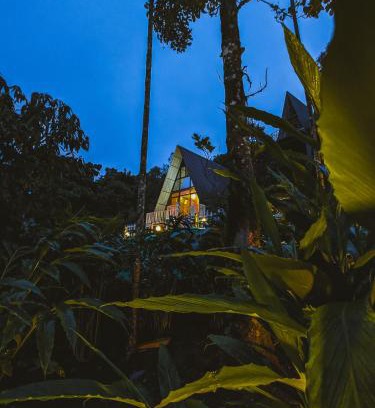 Elappara Maison | Leaf Mist Vagamon
