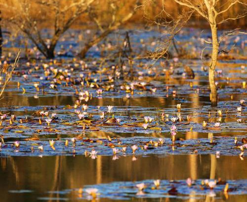 Waterberg Autre | Leopard Ranch - Luxury Tented Camp