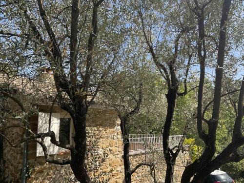 Piegon Maison | Les Bartavelles
