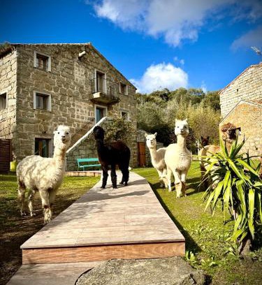 Kerlouan Hôtel | Les Bergeries de Figari