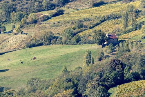 Gizia Maison | Les Billardes - le gite - Jura