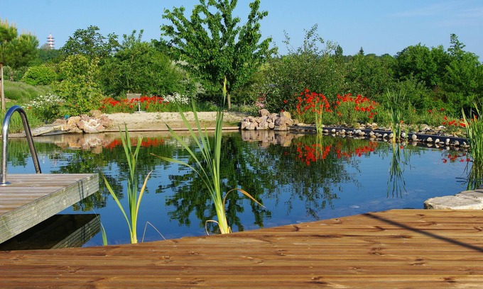 Saint-Leon Cottage | Les bleuets et sa piscine naturelle