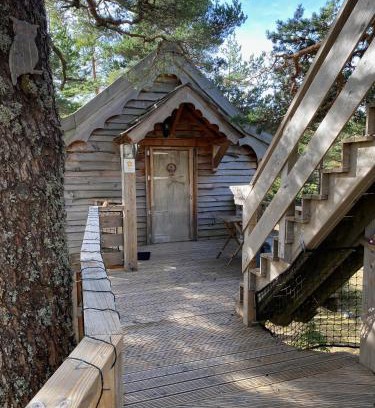 Caille Cabine | Les Cabanes de Maya