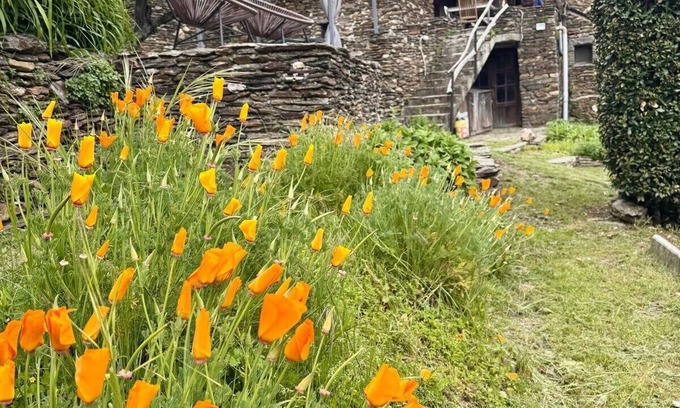 Ventalon-en-Cevennes Maison | Les Hôtes du Châtaignier