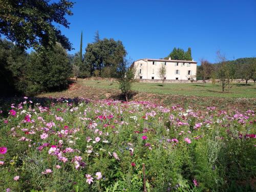 Saint-Jean-du-Gard Maison | Les Jardins de Falguière