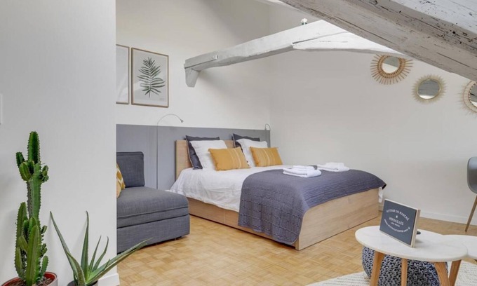 Saint-Louis Appartement | Les Mansardes du Roi - A proximité du château. Vue sur les toits.