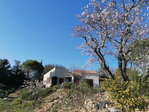 Saint-Jean-de-Minervois Maison | Les romarins