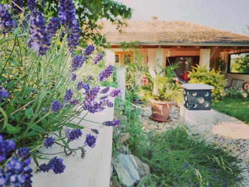 Zalaszentgrot Maison | Levendula Vendèghàz