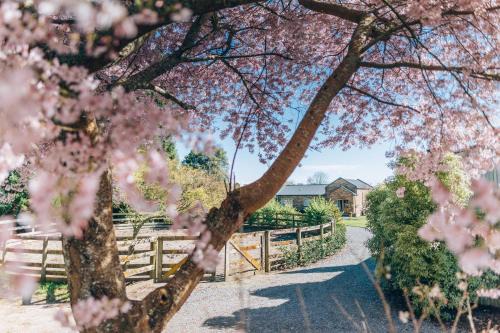 Cambridge Maison | Lexington Park Cottages