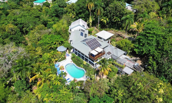 Drapers Hôtel | LF Jungle Retreat