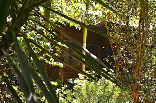 San Ignacio Maison | Licensed 2 bedroom cabin Close to San Ignacio, local dining, and adventure tours