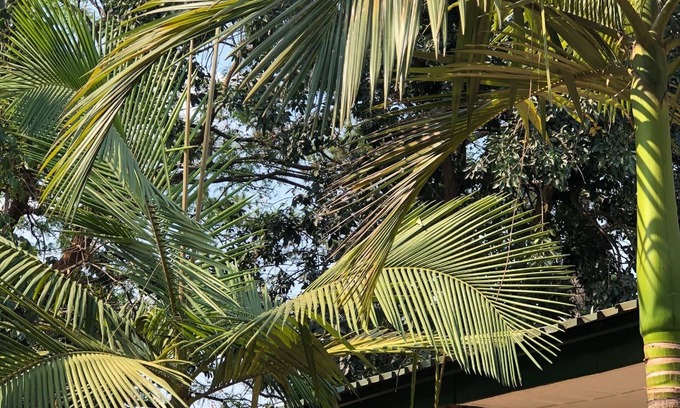 Kitwe Maison | Lifesong Lodge