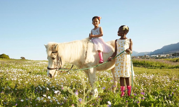 Cape Town Cabine | Lighthouse Farm Backpackers Lodge