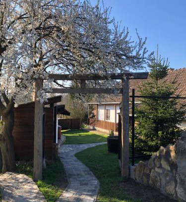 Tereny Appartement | Liliána vendégház