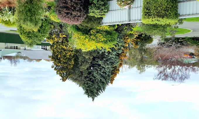 Rangiora Hôtel | Lilybrook Rangiora Motel