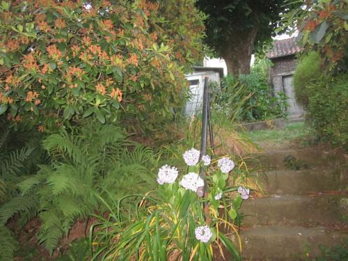 Limoges Appartement | LIMOGES,joli appart !