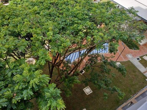 Villeta Appartement | Lindo y acogedor apartamento