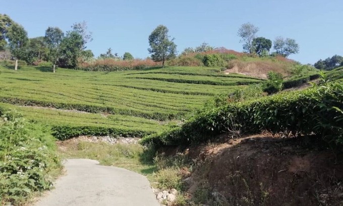 Pallivasal Maison | Linten Holiday Resort, Propriété située à Munnar. À 4,7 km de la ville de MUNNAR