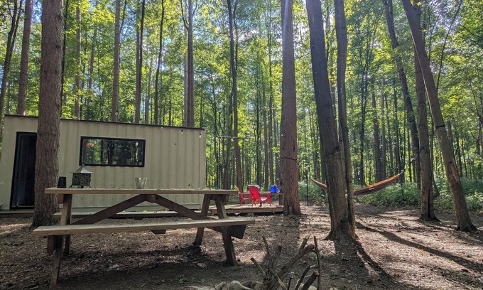 Langton Cabine | Little Can in the Pines - Bunkie No. 2