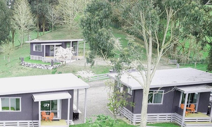 Feilding Cabine | Little Forest Cabins overnight accommodation. No. 1